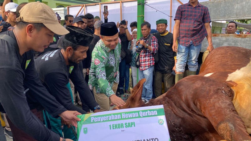Gubernur Riau, Abdul Wahid saksikan penyembelihan sapi Presiden Prabowo di Masjid Raya An-Nur (foto/ist)