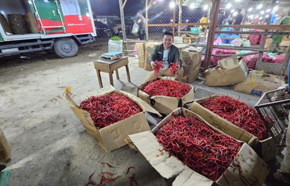 Direktur PT Riau Pangan Bertuah, Ade Daulay saat mengecek cabai dari Sleman tiba di Pekanbaru (foto/riki) 