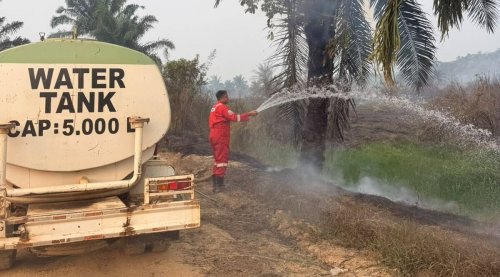 Pertamina EP Lirik kerahkan fire brigade hingga malam mitigasi meluasnya Karhutla (foto/ist)