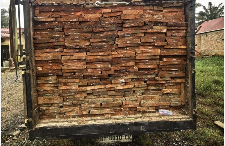Polisi bongkar ilegal logging di Rokan Hulu (foto/ist)