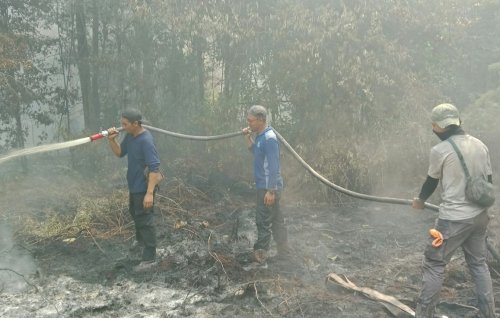 Ilustrasi APHI Riau tekankan edukasi dan pemberdayaan masyarakat cegah Karhutla (foto/ist)