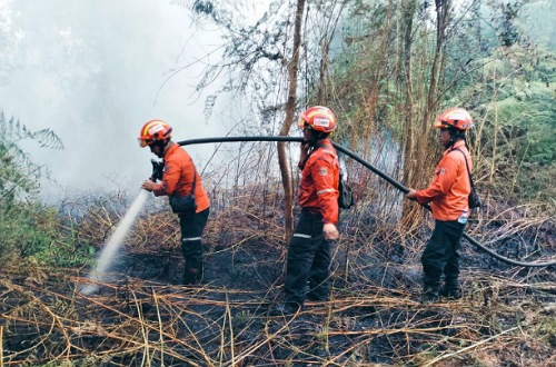 Sebaran titik panas di Riau.(ilustrasi/int)