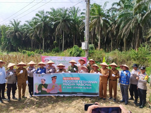 PT SLS berhasil menggelar panen perdana jagung. (Foto: Andy Indrayanto)