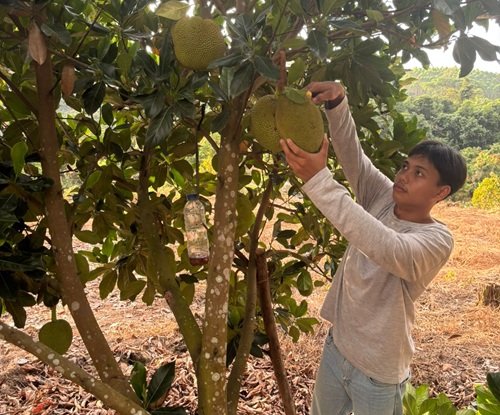Wendry, Ketua KUPS Desa Rambahan kembali ke kampung halamannya untuk mengembangkan potensi ekonomi desa melalui perhutanan sosial (foto/ist)