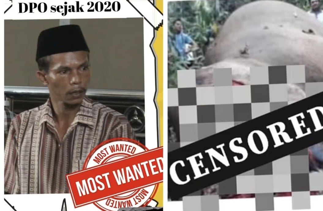 Ari Karyo seorang DPO yang tiga kali dipenjara dan tak kapok memburu gajah Sumatra (foto/ist)