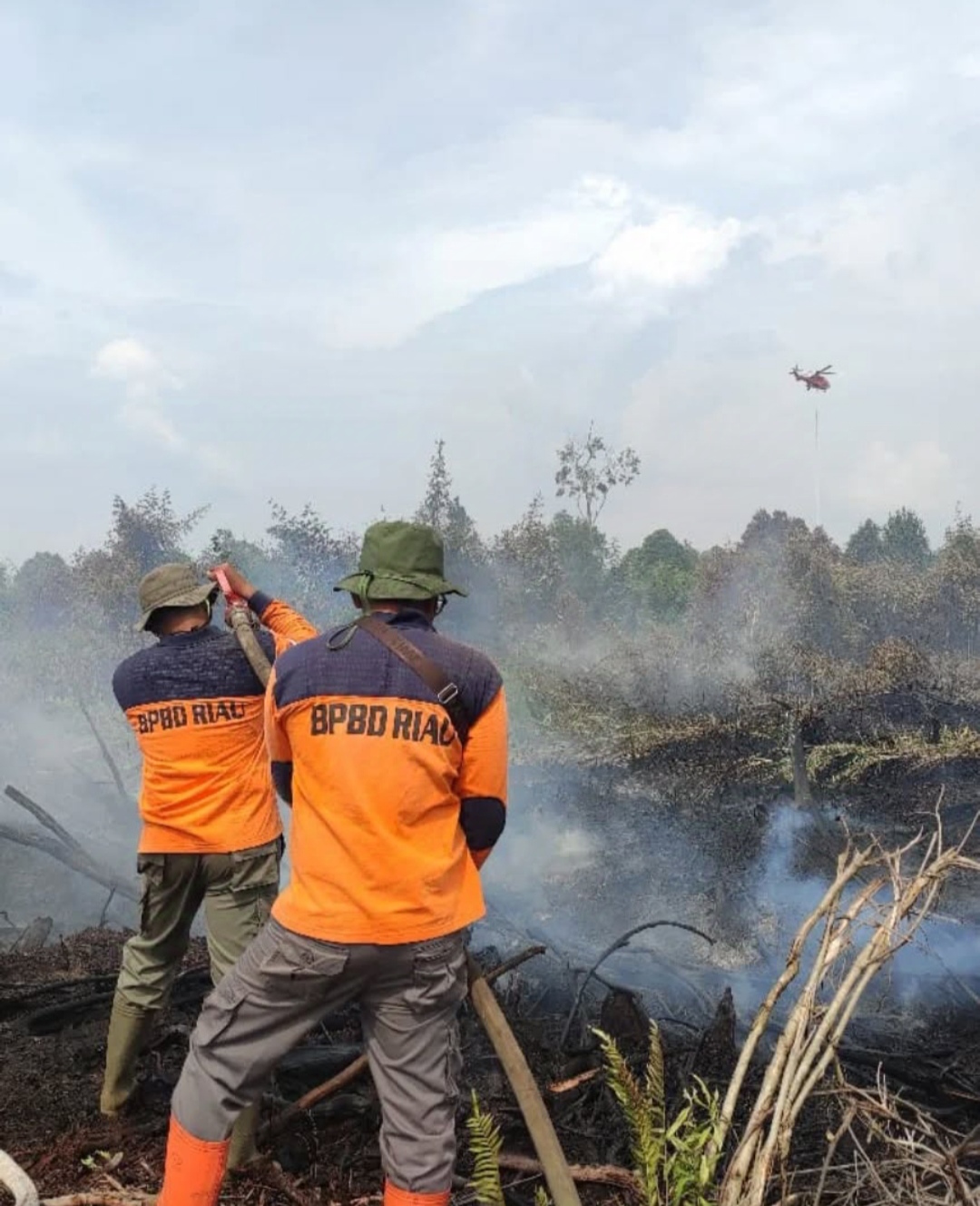 Ilustrasi Karhutla masih mengintai Riau di musim kemarau (foto/int)