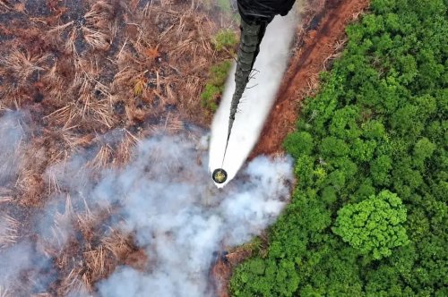 Ilustrasi hotspot di Riau belum sirna (foto/int)