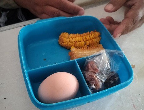 ilustrasi: Menu MBG di Malang.