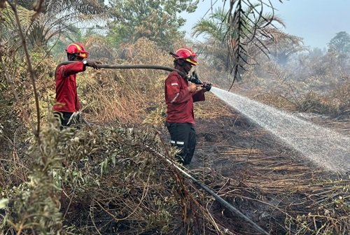Satgas Karhutla Riau mengapresiasi dukungan PT Arara Abadi dalam penanganan Karhutla (foto/ist)