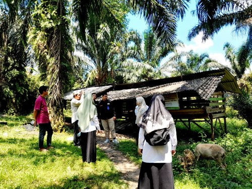 Kemenag Riau Tinjau Langsung Program Pemberdayaan IZI Perwakilan Riau (foto/ist)