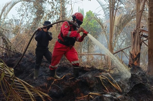 Upaya pemadaman karhutla di Bengkalis.(foto: mcr)