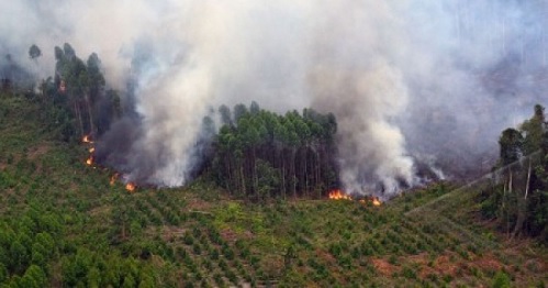 Titik panas di Riau.(ilustrasi/int)