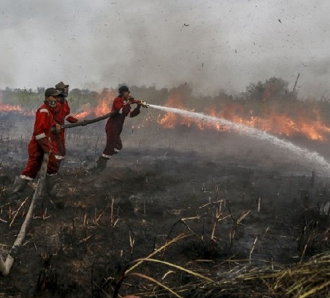 ilustrasi pemadaman kebakaran kebakaran hutan dan lahan (Karhutla) di Riau.