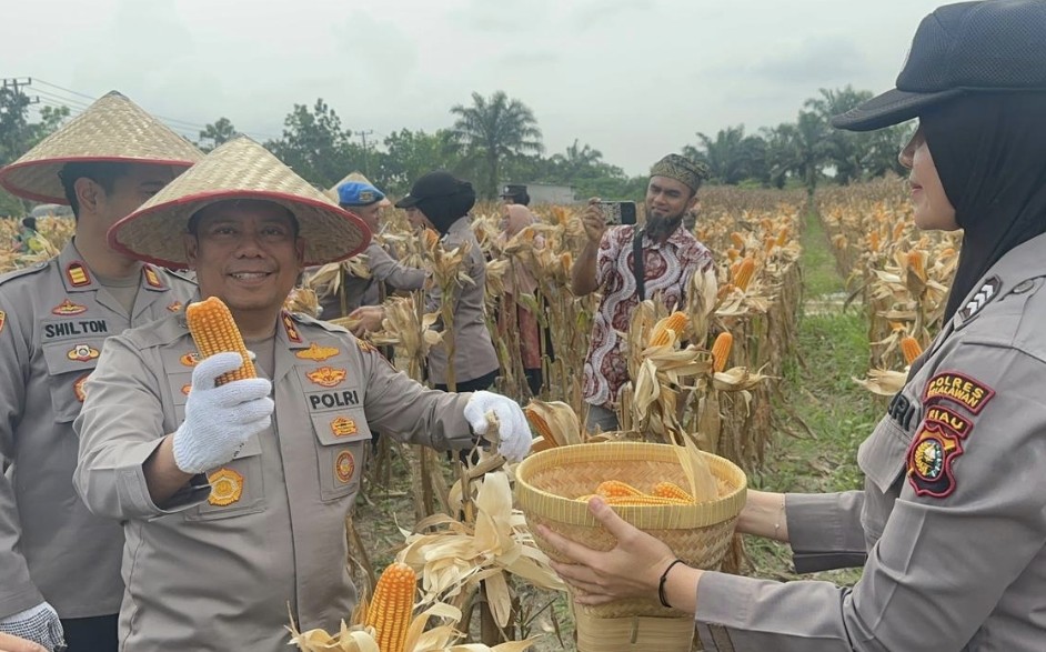Kapolres Pelalawan AKBP John pimpin panen raya jagung (foto/ist)