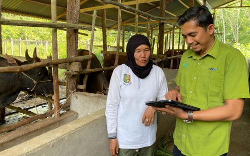 Ketua Kelompok Ternak Ingin Maju, Zaharatul Aini atau Ratil, berbincang bersama tim CD RAPP di Desa Koto Benai, Kecamatan Benai, Kabupaten Kuantan Singingi, Riau.(foto: istimewa)