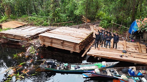 Temuan 300 kubik kayu hasil illegal logging di Inhu.(foto: mcr)