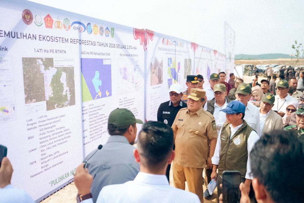 Target 66 Ribu Hektare, Pemerintah Percepat Pemulihan Kawasan Tesso Nilo (foto/int)
