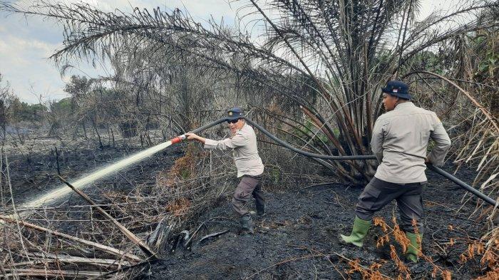 Ilustrasi hotspot masih mengancam Provinsi Riau (foto/int)