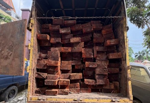 Polda Riau membongkar dugaan illegal logging di jantung Cagar Biosfer Giam Siak Kecil (foto/ist)