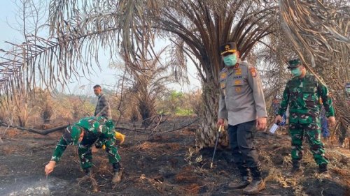 Foto: Kapolda Riau dan Pangdam Tuanku Tambusai mengecek karhutla di Kabupaten Siak. (dok. Polda Riau) 