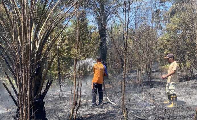 Petugas BPBD Pekanbaru berjibaku padamkan Karhutla (foto/int)