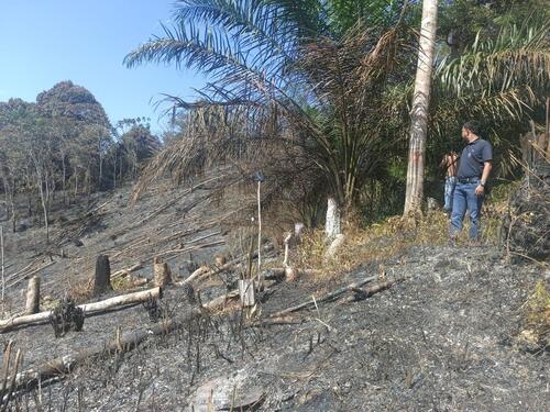 Polres Kuansing berhasil menangkap tiga pelaku kebakaran di Hutan Lindung Bukit Betabuh. (Foto: Ultra Sandi)