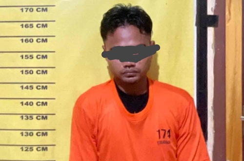 Pelaku pencuri sawit di Kerumutan.(foto: andi/halloriau.com)