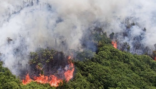 Sebaran titik panas di Riau hari ini.(ilustrasi/int)