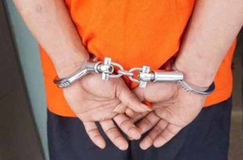 Seorang pengedar narkoba di Pelalawan ditangkap.(ilustrasi/int)