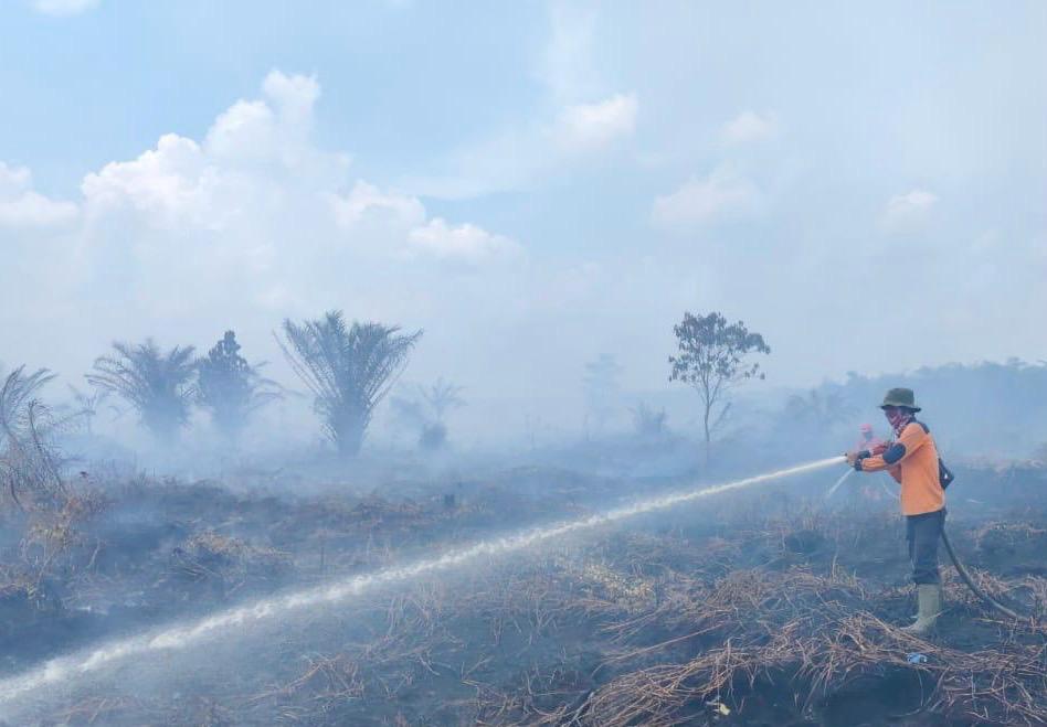 Waspada Karhutla, Riau mencatat lonjakan hotspot atau titik panas tertinggi di Sumatera (foto/int)
