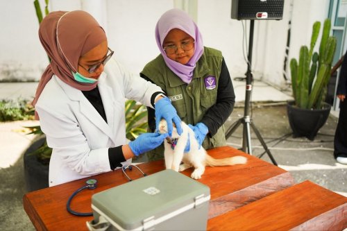 Kini ada Pet Hotel dan Ambulans Hewan di Pekanbaru.(foto: mcr)