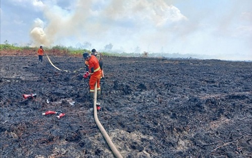 Sebaran titik panas di Sumatera hari ini.(ilustrasi/int)