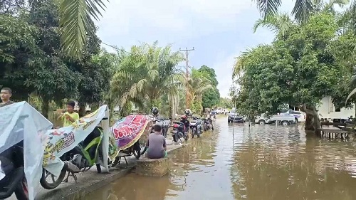 Banjir di Pelalawan masih belum surut.(foto: int)