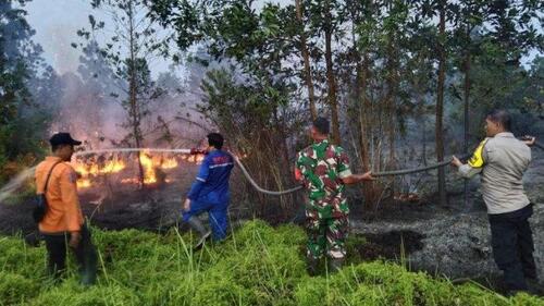 Personel gabungan memadamkan kebakaran lahan di Kawasan Kecamatan Rumbai Rumbai beberapa waktu lalu. (Foto: Tribun Pekanbaru/Dokumen BPBD Pekanbaru)