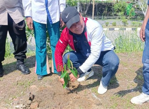 Senator Abdul Hamid dan PWI Pelalawan menanam pohon buah di Kantor PWI (foto/Andy)