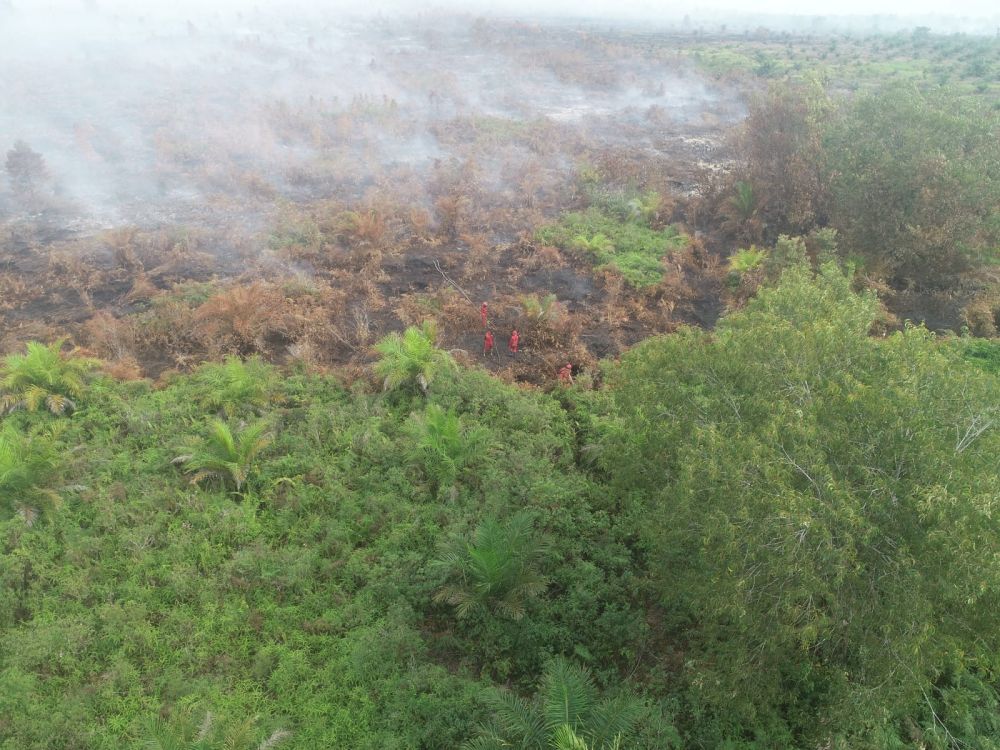 BMKG catat belasan hotspot muncul di Riau (foto/int)