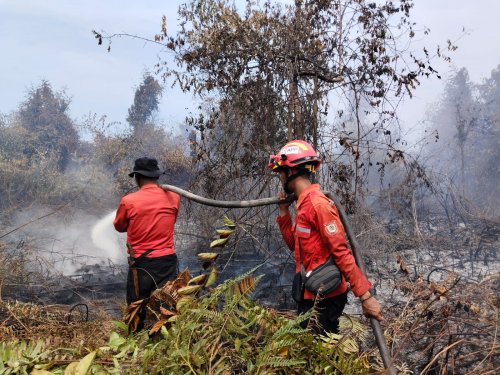 Ilustrasi Pelalawan menjadi penyumbang hotspot terbanyak di Riau (foto/int)