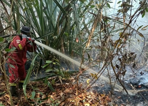 Ilustrasi 42 titik panas terdeteksi di Riau, terbanyak di Inhu (foto/int)