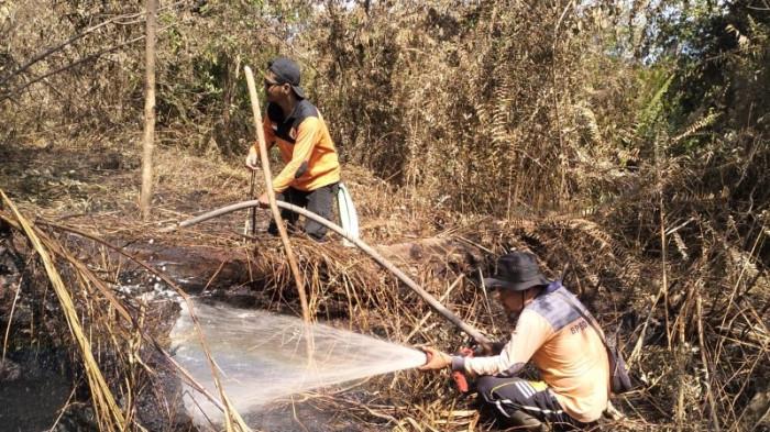 Karhutla di Tanjung Peranap hanguskan 200 hektar lahan (foto/tribunpekanbaru)
