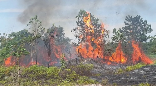 Sebaran titik panas di Riau hari ini.(ilustrasi/int)
