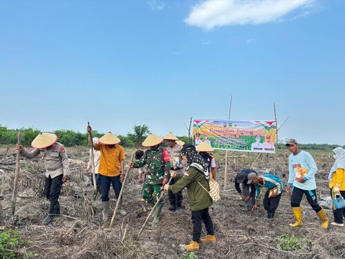 Sinergitas Kepolisian dan Pemerintah Desa Sungai Nyiur tanam jagung. (Foto: Ayendra)