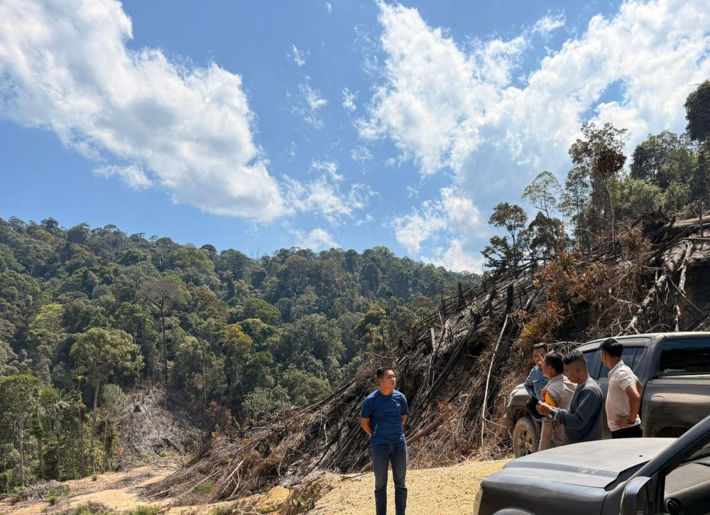 Polres Rohul tangkap pelaku pembakaran hutan, diduga untuk perluasan lahan sawit (foto/int)
