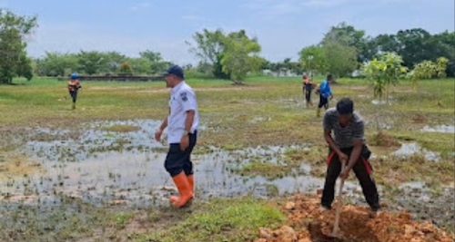 DLH Rohil tengah mempersiapkan penanaman 200 pohon di halaman kantor bupati. (Foto: Afrizal)