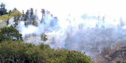 Pelalawan dan Bengkalis menjadi penyumbang terbesar hotspot Riau hari ini (foto/int)