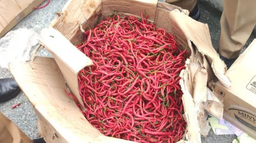 Warga Pekanbaru bisa belanja cabai Rp65 ribu/Kg di pasar murah yang diselenggarakan Pemprov Riau (foto/int)