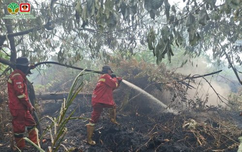 Ilustrasi Riau tertinggi dengan puluhan titik panas (foto/int)