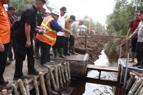 Mneteri LH, Jumhur Hidayat tinjau langsung upaya pencegahan Karhutla yang digagas Arara Abadi.(foto: istimewa)