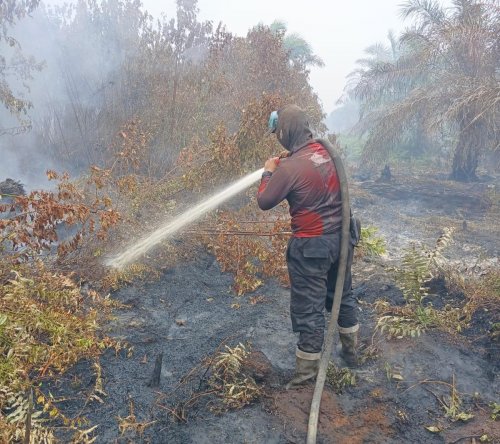 Ilustrasi BMKG deteksi puluhan hotspot masih terdeteksi di Riau (foto/int)