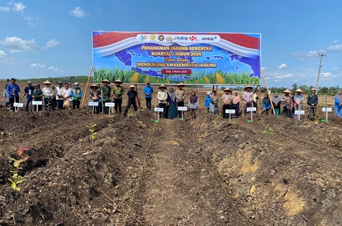 Kegiatan Penanaman Jagung Pipil serentak kuartal I tahun 2026 dan oleh Polres Siak didukung PT RAPP di Kampung Lubuk Jering, Kecamatan Tualang, Kabupaten Siak, Sabtu (7/3/2026).(foto: istimewa)