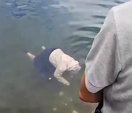 Viral mayat wanita terapug di Danau Maninjau, Sumbar (foto/SC IG perantauminang)